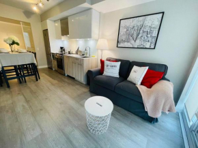 Stunning Suite in Heart of Downtown Toronto J1